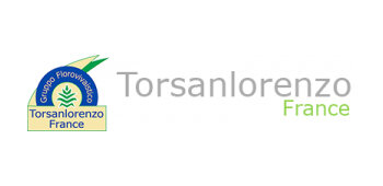 Torsanlorenzo